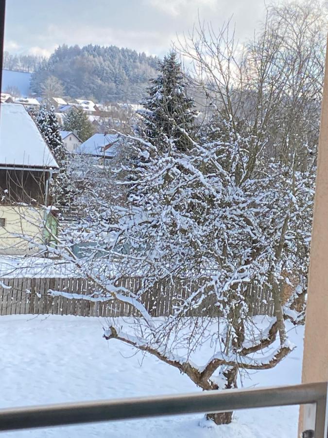 Grosszuegig Und Komfortabel:Ferienwohnung Im Bayerischen Wald! Wiesenfelden 外观 照片